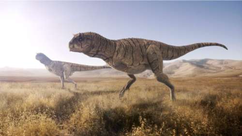 Découverte d’une nouvelle espèce de dinosaure aux bras ridiculement petits