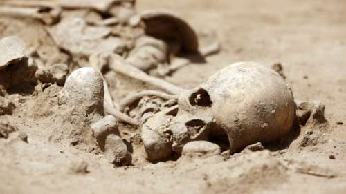 Découverte en Allemagne du tombeau d’une importante figure néolithique, vieux de 6 800 ans