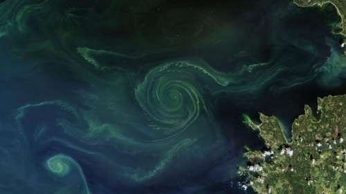 Une étrange spirale d’algues vertes continue de s’étendre au cœur de la mer Baltique