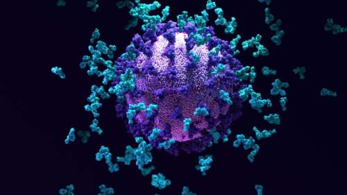 On sait enfin pourquoi certaines personnes semblent naturellement immunisées contre le Covid-19