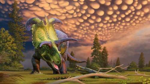 Voici Lokiceratops, le dinosaure aux cornes les plus étranges jamais découvert