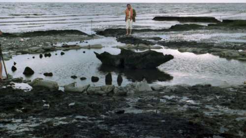 Oubliez Stonehenge, pourquoi « Seahenge » a-t-il été construit il y a plus de 4 000 ans ?