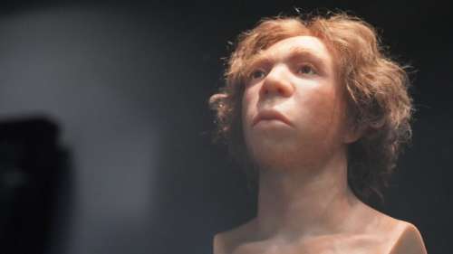 La découverte d’un enfant néandertalien atteint de trisomie illustre leur altruisme