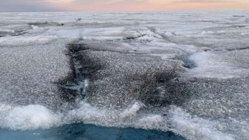D’inattendus virus géants découverts sur la calotte glaciaire du Groenland