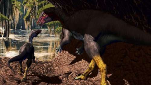 Découverte d’une nouvelle espèce de dinosaure capable de vivre sous terre