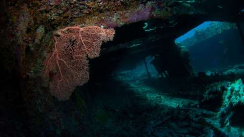 Un trésor de la dynastie Ming retrouvé en mer de Chine méridionale