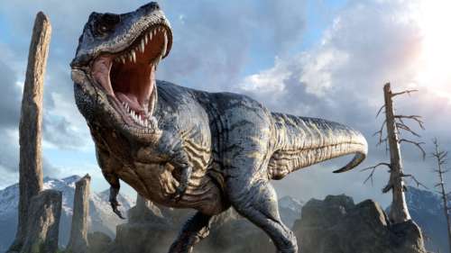 Une nouvelle étude suggère que le T. rex était encore plus imposant qu’on l’imaginait