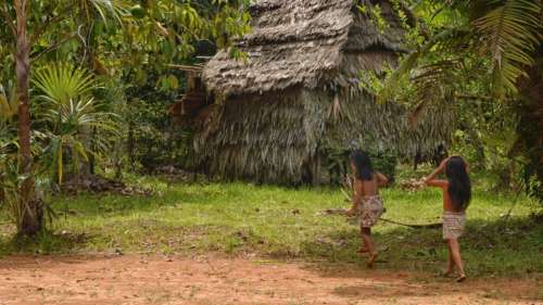 À cause de l’exploitation forestière, cette tribu amazonienne isolée se rapproche du monde extérieur