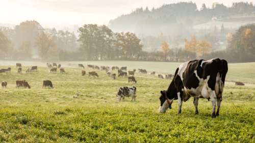 L’impact de notre alimentation sur le climat ne cesse de s’aggraver