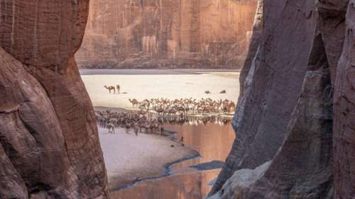 Guelta d’Archei : cette oasis surréaliste au cœur du désert du Sahara