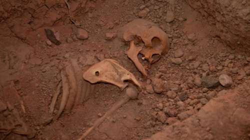 Des archéologues péruviens découvrent le temple d’un ancien culte pré-inca