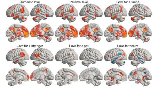 Les scientifiques révèlent qu’il existe six types d’amour, voici lequel est le plus fort