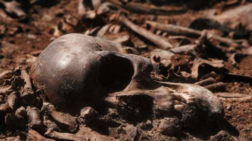 Dans le sud de la France, un cimetière néolithique utilisé pendant 800 ans révèle ses secrets