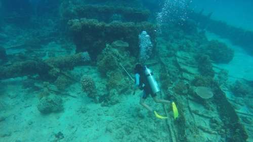 Une dague vieille de 3 600 ans dévoile les secrets d’une fascinante civilisation de l’âge du bronze