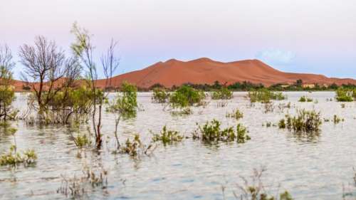  Sahara Submergé : Pluies Records et Dé régiment Climatique