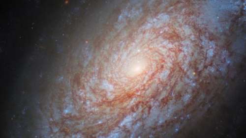 Hubble dévoile une nouvelle image de la galaxie spirale cotonneuse NGC 4414