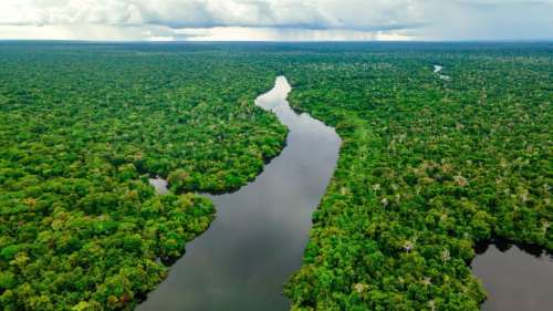 Des archéologues découvrent une nouvelle cité perdue dans la forêt amazonienne