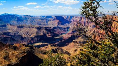 Cette découverte dans le Grand Canyon pourrait réécrire l’histoire de l’explosion cambrienne