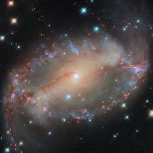 Hubble a récemment capturé une image spectaculaire de la galaxie spirale barrée NGC 2566