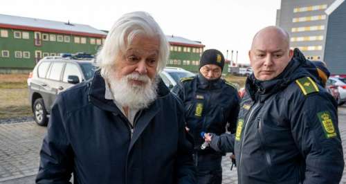 Paul Watson, le militant anti-chasse à la baleine, libéré après des mois de détention au Groenland