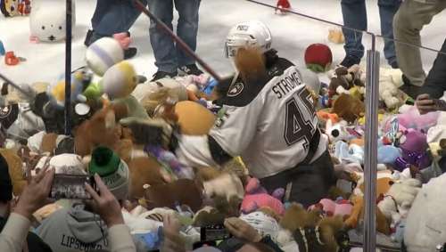 INSOLITE – Record de peluches sur la glace des Hershey Bears, plus de 102 000 !