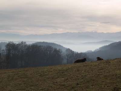 Auteurs et poètes de la Montagne Limousine à la défense des exilés