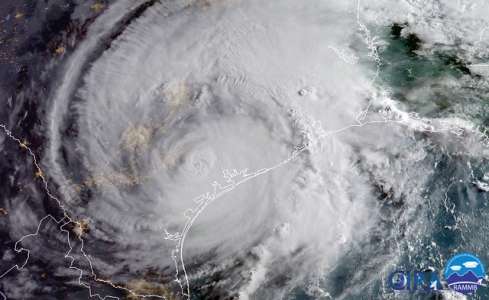 Ouragan Harvey : tout le secteur du livre se mobilise aux Etats-Unis