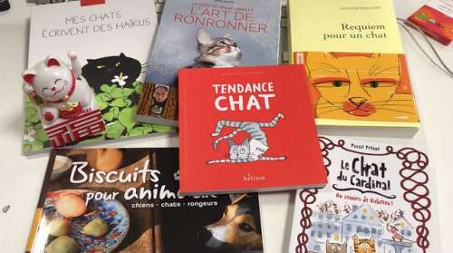 6 livres pour les amoureux des chats, félins et autres matous