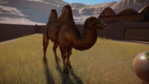 Planet Zoo – Arid Animal Pack