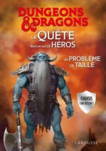 Livre D&D – La Quête dont tu es le héros : un problème de taille