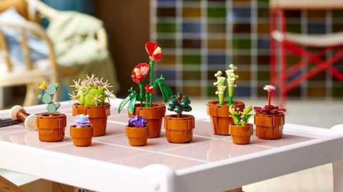 Meilleure offre Lego : obtenez l’ensemble Lego Icons Tiny Plants en précommande pour moins de 50 $