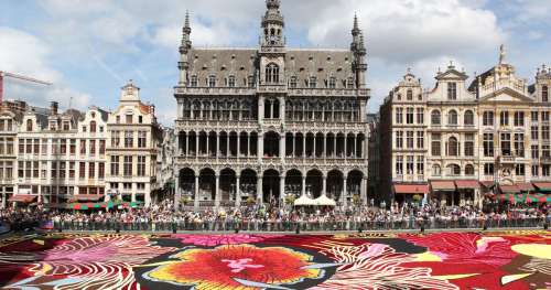 Couleurs éclatantes, motifs géométriques spectaculaires... À Bruxelles, 500.000 fleurs recouvrent la Grand-Place