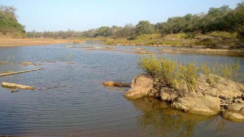 Unesco : le plus grand parc naturel du Sénégal retiré de la liste du patrimoine en péril