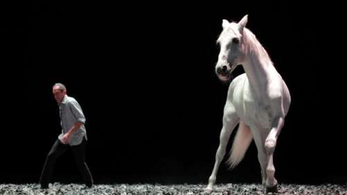 Au Théâtre des Abbesses, Plusieurs mise sur le bon cheval