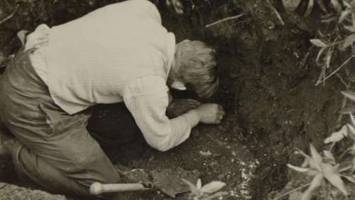 Un trésor mérovingien, découvert en 1940 par un soldat allemand passionné de sciences, restitué dans la Somme