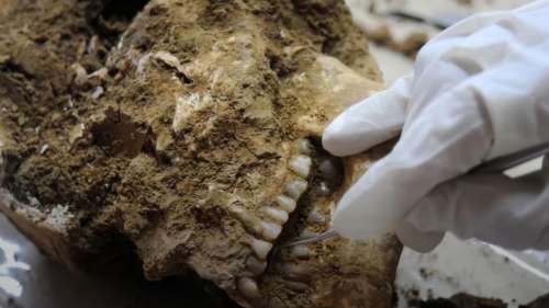 L'ADN révèle l’histoire d'un site funéraire des Cévennes vieux de 5000 ans