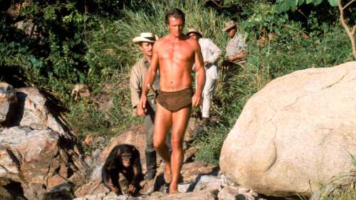 Mort de Ron Ely, incarnation de Tarzan dans les années 1960