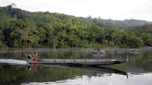 Le combat pour ramener en Guyane les dépouilles d'Amérindiens conservées au musée de l'Homme