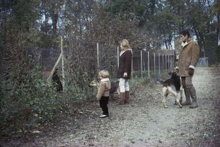 Alain Delon et sa passion pour les chiens