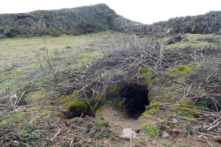 Des vestiges du Mésolithique et de l'âge du Bronze découverts grâce à des lapins gallois