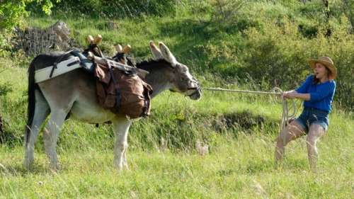 Antoinette dans les Cévennes s'impose comme «la pépite de la rentrée»