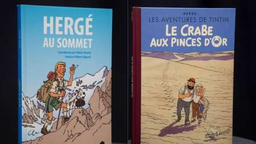 Bande dessinée: Tintin dans tous ses états