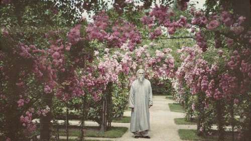 Les plaisirs et les ans dans le jardin Albert Kahn