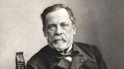 Louis Pasteur, savant-bricoleur de génie