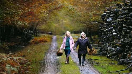 Quand vient l’automne :méfiez-vous des grands-mères dans le nouveau bijou de François Ozon