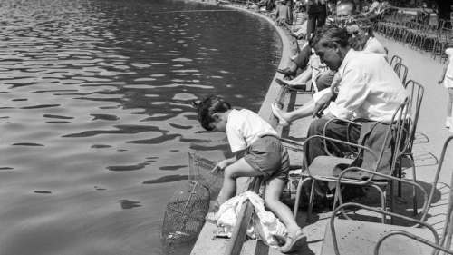 Échapper à la canicule à Paris ? Cinq idées de sorties culturelles pour passer l'été au frais