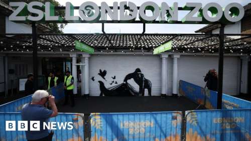 Le zoo de Londres retire son œuvre d’art représentant un gorille pour la « mise en sécurité »