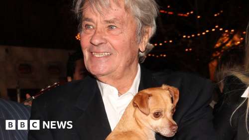 La famille d’Alain Delon dément la volonté de l’acteur d’abattre le chien