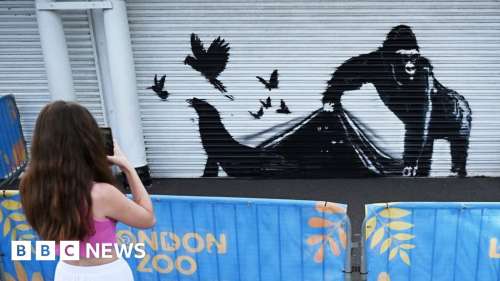 La dernière œuvre de la série de Banksy apparaît sur les grilles du zoo de Londres