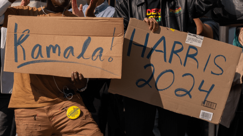 « Kamala » contre « Harris » : Internet s’attaque au sexisme en politique